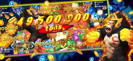 6655bet5
